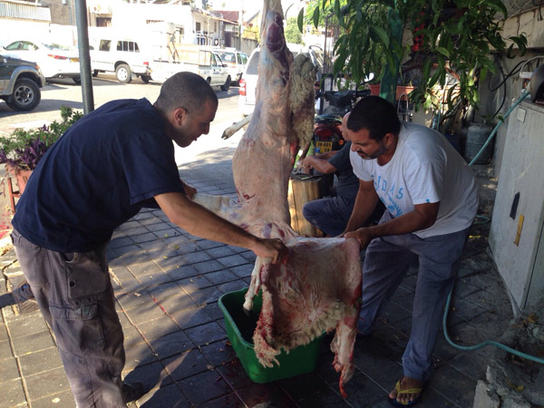 مجموعة من الصور لمظاهر العيد وذبح الأضاحي في مدينتي يافا والرملة